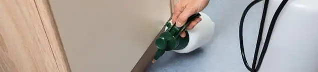 Bed bug exterminator treating baseboards and cracks with targeted spray in Knoxville, TN