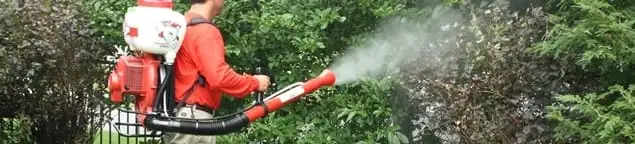 Mosquito control technician fogging shrubs and landscaping for mosquito treatment in Knoxville, TN