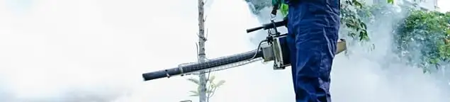 Pest control technician fogging an outdoor area for insect control in Knoxville, TN