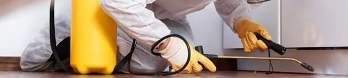 Roach exterminator treating cracks and crevices along kitchen baseboards in Knoxville, TN