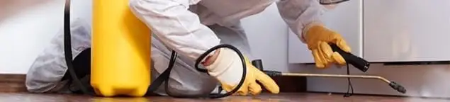 Roach exterminator treating cracks and crevices along kitchen baseboards in Knoxville, TN