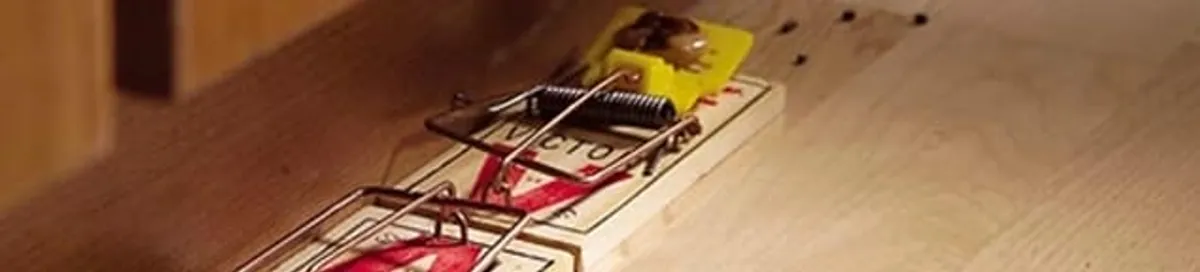 Rodent trap set indoors for rodent control and prevention in Knoxville, TN
